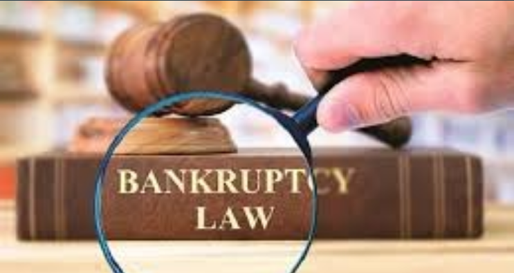 How Solvent Is India’s New Insolvency Law?